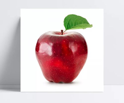 蘋(píng)果之魅 從青澀到甘醇的美食之旅